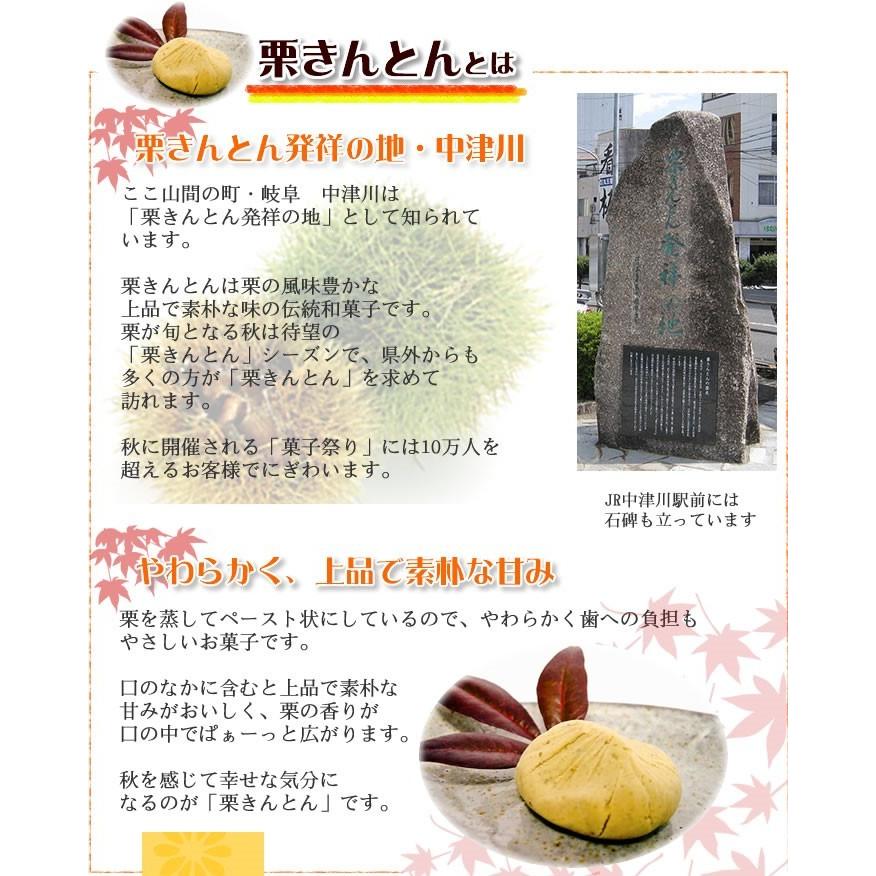 永遠の定番モデル 栗きんとん 中津川 3個入 和菓子 お取り寄せ プチギフト 新杵堂 プレゼント Aynaelda Com