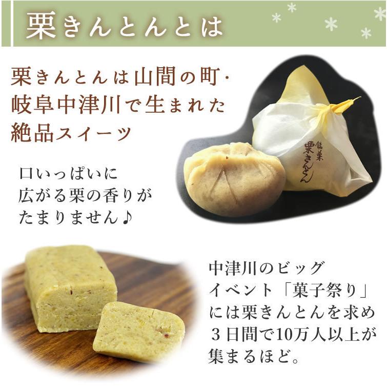 栗きんとん 送料無料 国産 栗 100 使用 栗あん 和菓子 洋菓子 マロンペースト マロン モンブラン マロンロールケーキ あすつく 岐阜 中津川ちこり村 ヤフー店 通販 Yahoo ショッピング