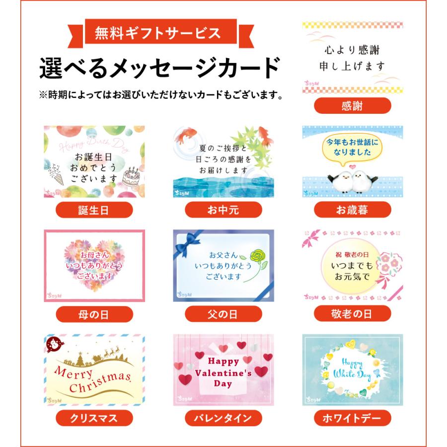 そば 生そば 信州そば グルメ お取り寄せ プレゼント ギフト 誕生日 食べ物 蕎麦 ６人前 そば粉 贈答 ちこり村 | ちこり村 | 10