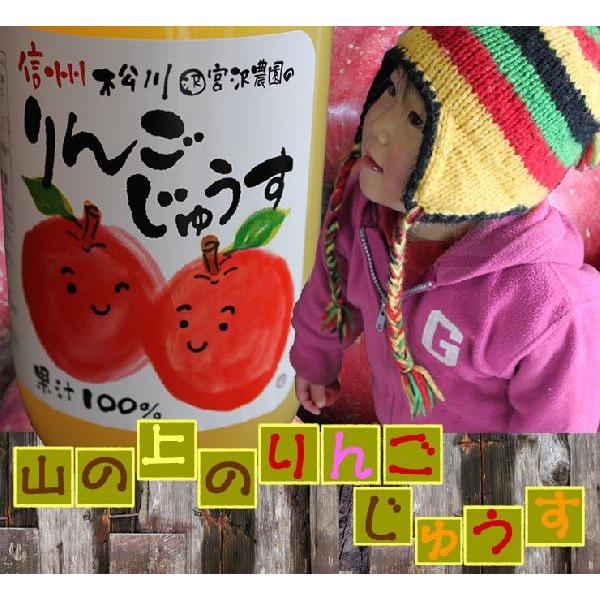 内祝 ジュース りんごジュース ストレート 長野 ギフト 信州松川産 山の上のりんごじゅうす1,000ｍｌ×2本 送料無料 ちこり村 | ちこり村 | 01