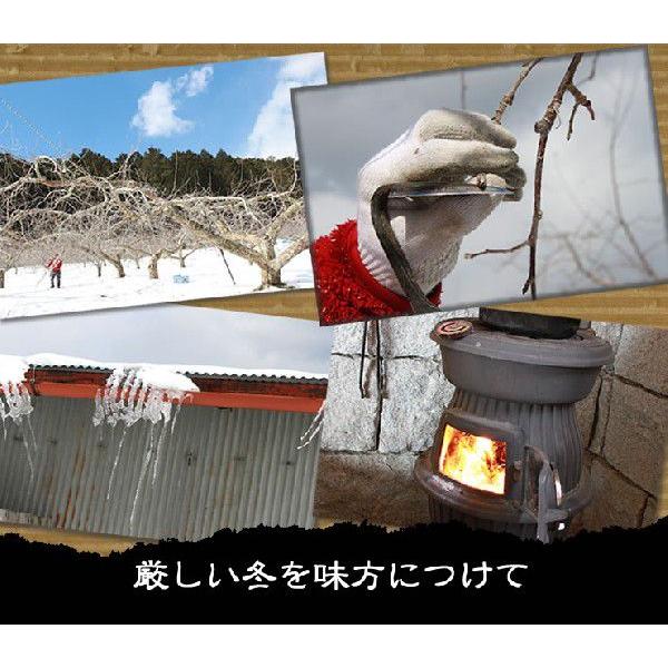 内祝 ジュース りんごジュース ストレート 長野 ギフト 信州松川産 山の上のりんごじゅうす1,000ｍｌ×2本 送料無料 ちこり村 | ちこり村 | 02