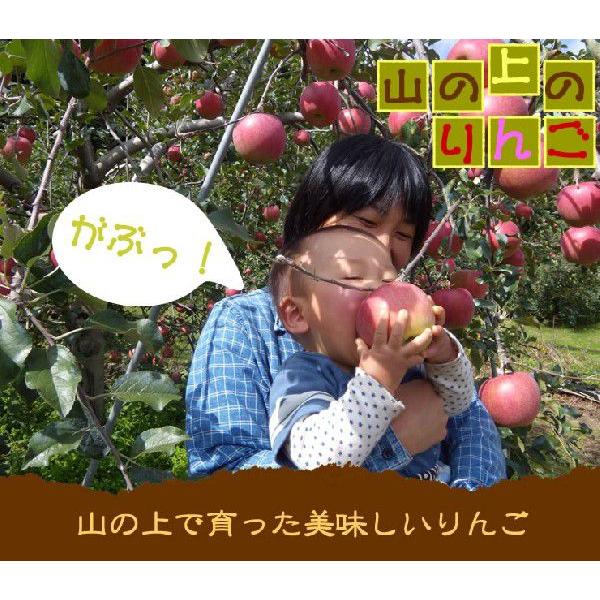 内祝 ジュース りんごジュース ストレート 長野 ギフト 信州松川産 山の上のりんごじゅうす1,000ｍｌ×2本 送料無料 ちこり村 | ちこり村 | 03