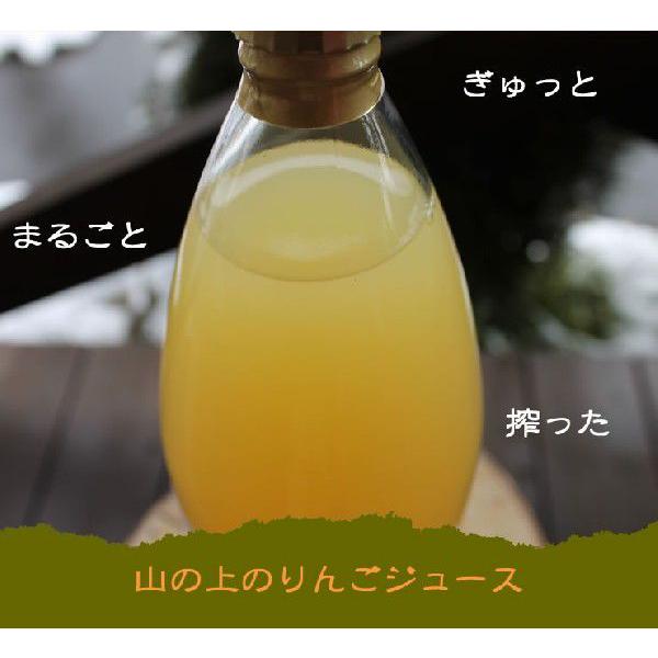 内祝 ジュース りんごジュース ストレート 長野 ギフト 信州松川産 山の上のりんごじゅうす1,000ｍｌ×2本 送料無料 ちこり村 | ちこり村 | 04