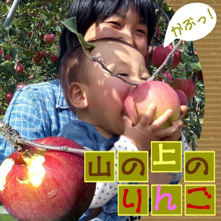 内祝 ギフト ジュース りんごジュース 信州 長野県 山の上のりんごジュース すりおろし 1,000ｍｌ×4本 送料無料｜chicory｜03