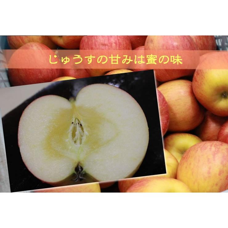 内祝 ギフト ジュース りんごジュース ストレート ギフト 信州  送料無料 リンゴジュース 1,000ｍｌ&times;6本