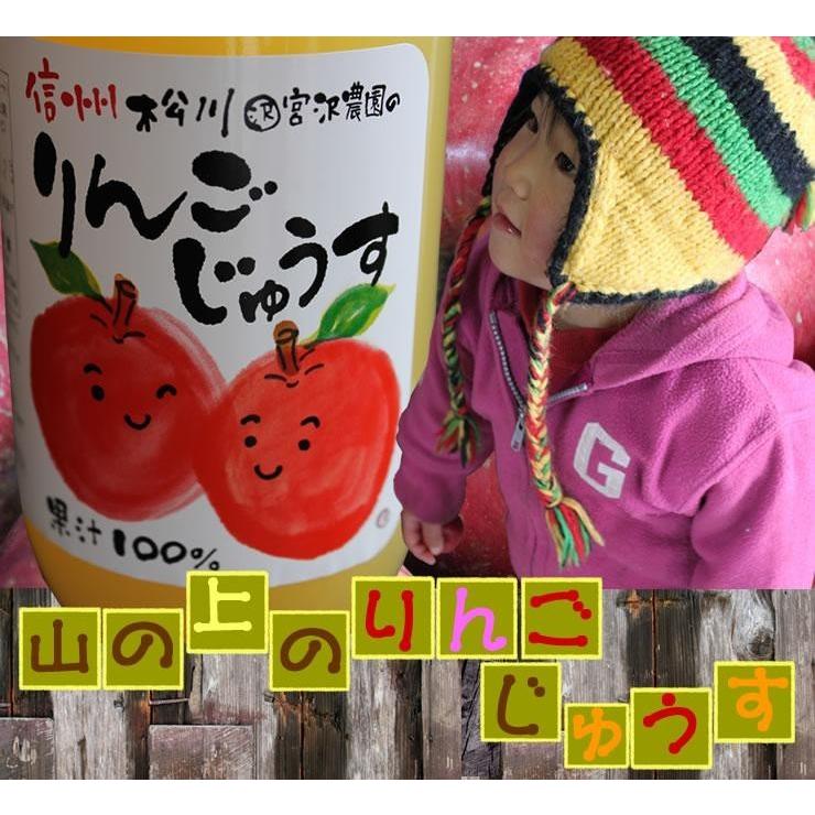 ちこり村 内祝 ジュース りんごジュース ギフト 長野 信州 松川