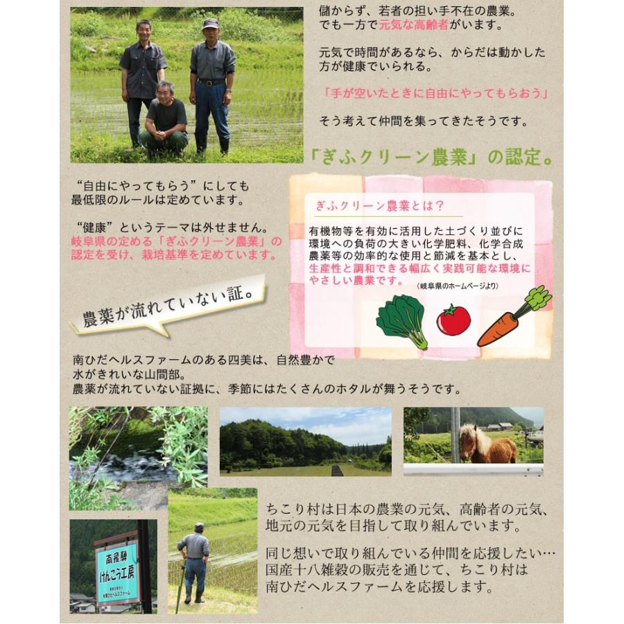 雑穀米 国産 送料無料 国産十八雑穀 30包 もち麦 縄文米 はと麦 アマランサス ごま 発芽玄米 ちこり村 | ちこり村 | 13