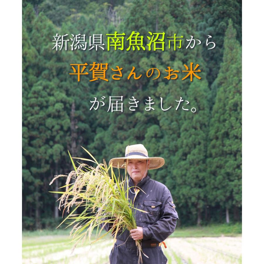 南魚沼産 魚沼 コシヒカリ 新潟 新米 2025年産 平賀さんのおいしいお米 2kg×3袋 | ちこり村 | 01