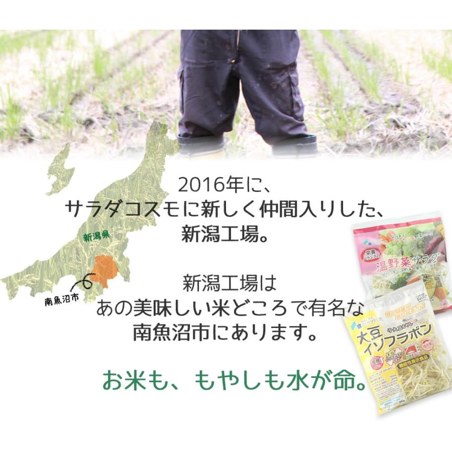 南魚沼産 魚沼 コシヒカリ 新潟 新米 2025年産 平賀さんのおいしいお米 2kg×3袋 | ちこり村 | 02