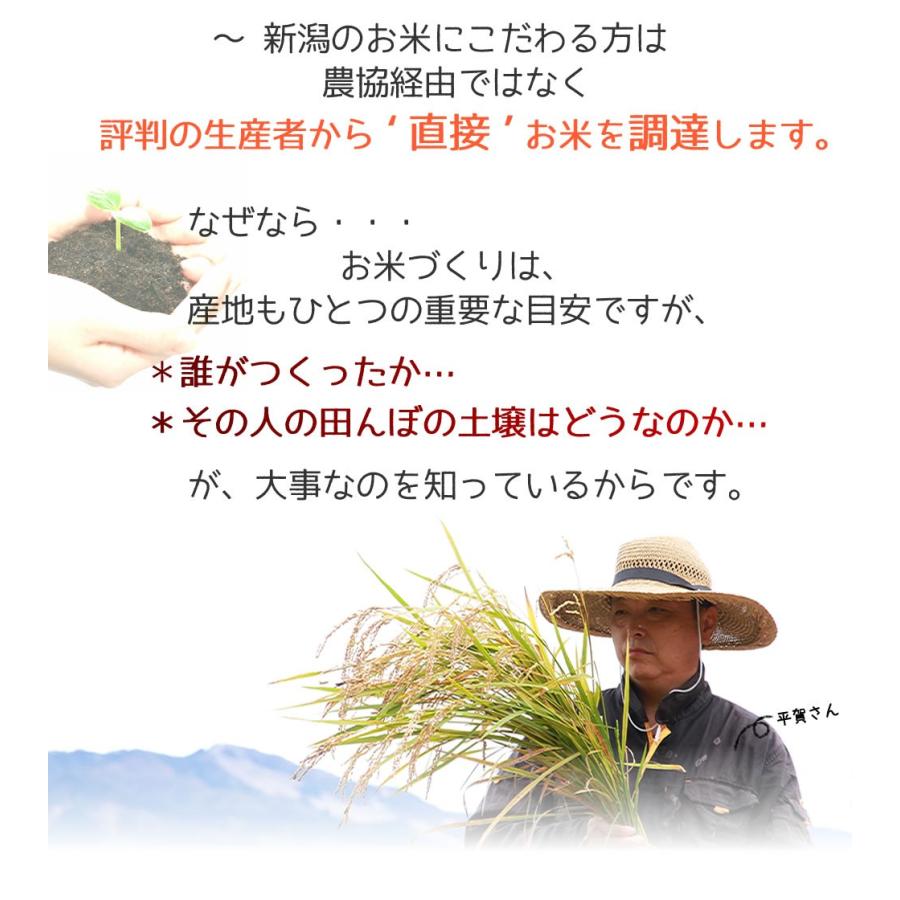 南魚沼産 魚沼 コシヒカリ 新潟 新米 2025年産 平賀さんのおいしいお米 2kg×3袋 | ちこり村 | 03