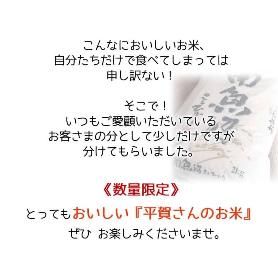 南魚沼産 魚沼 コシヒカリ 新潟 新米 2025年産 平賀さんのおいしいお米 2kg×3袋 | ちこり村 | 05