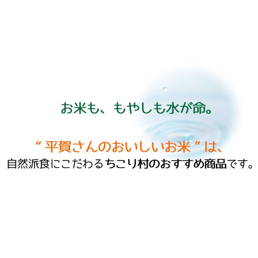 南魚沼産 魚沼 コシヒカリ 新潟 新米 2025年産 平賀さんのおいしいお米 2kg×3袋 | ちこり村 | 08