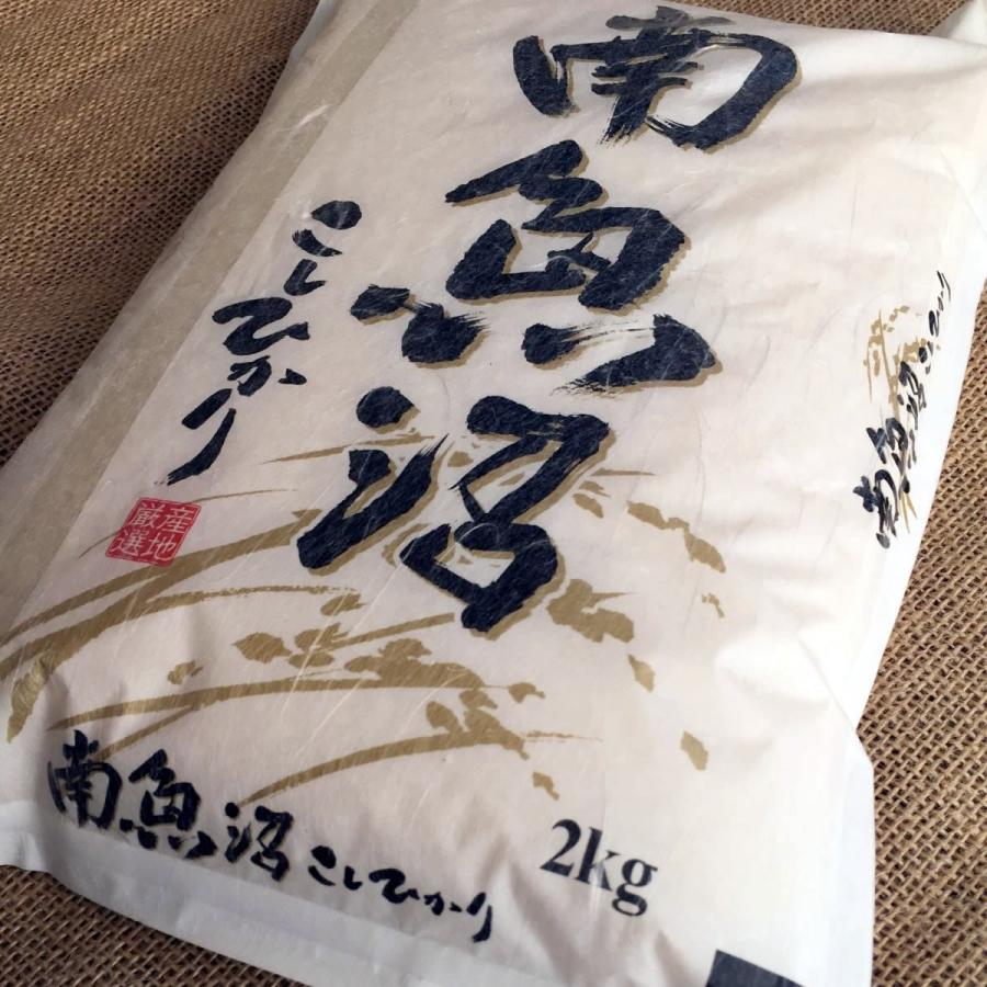 南魚沼産 魚沼 コシヒカリ 新潟 新米 2025年産 平賀さんのおいしいお米 2kg×3袋 | ちこり村 | 09