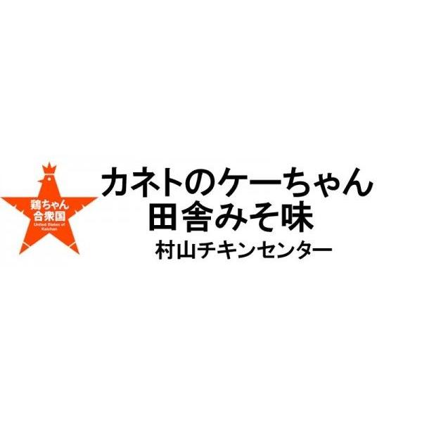 ちこり村 鶏チャン けいちゃん ケイチャン お取り寄せ 岐阜 カネトの