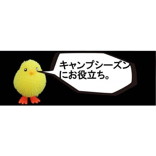 ちこり村 鶏チャン けいちゃん ケイチャン お取り寄せ 岐阜 カネトの