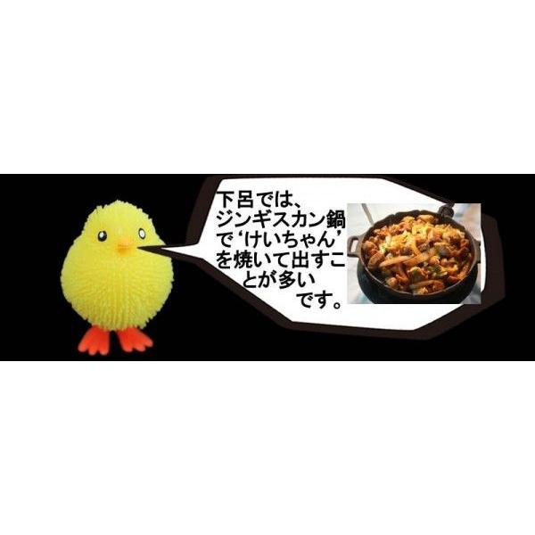 ちこり村 けいちゃん ケイチャン 鶏ちゃん お取り寄せ 岐阜 ミズホけい
