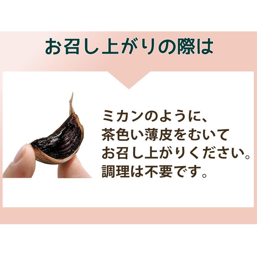 黒にんにく お試し ちこり村 ポイント消化 30g×２袋 ワンコイン 送料無料 黒ニンニク 有機栽培 オーガニック｜chicory｜09