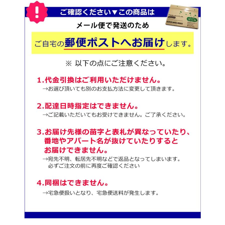 黒にんにく ちこり村 30g × 8袋 送料無料 人気 発酵黒にんにく 黒大蒜 有機栽培 オーガニック メール便｜chicory｜17