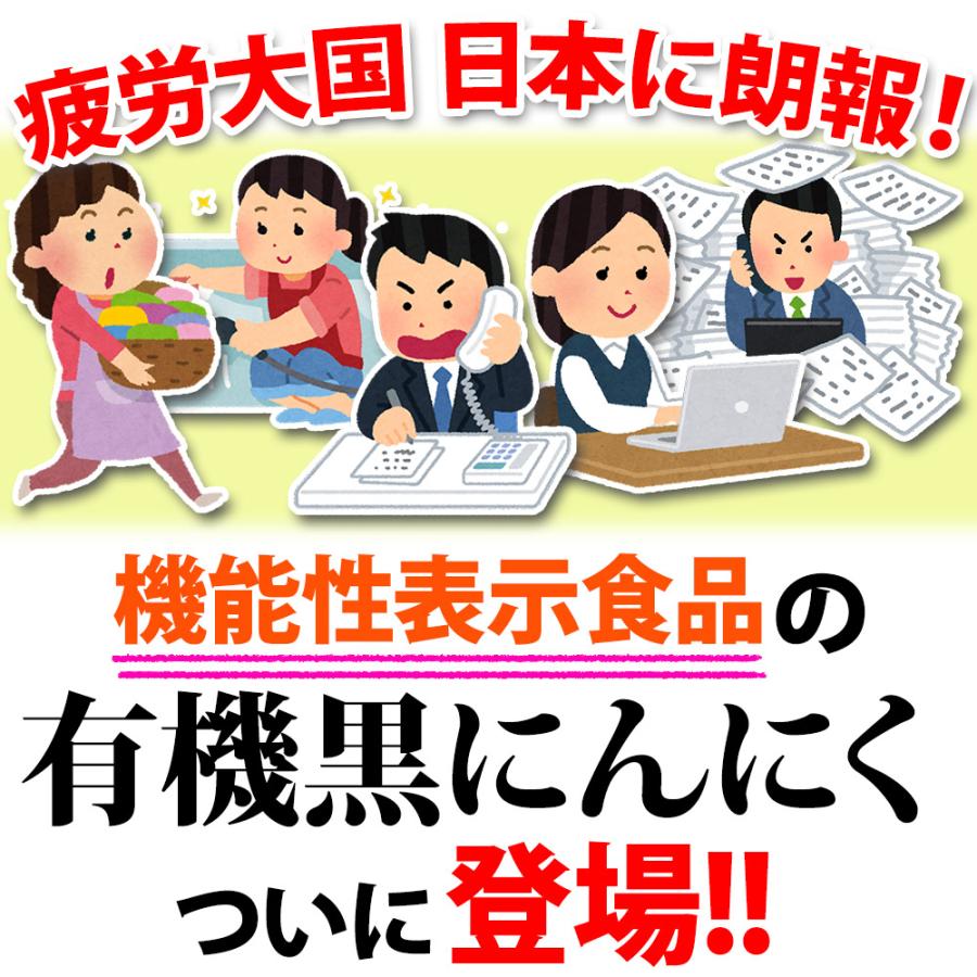 機能性表示食品 商品 黒にんにく オーガニック 有機 日常生活で生じる一過性の身体的疲労を軽減 約2.4週間分 メール便｜chicory｜02