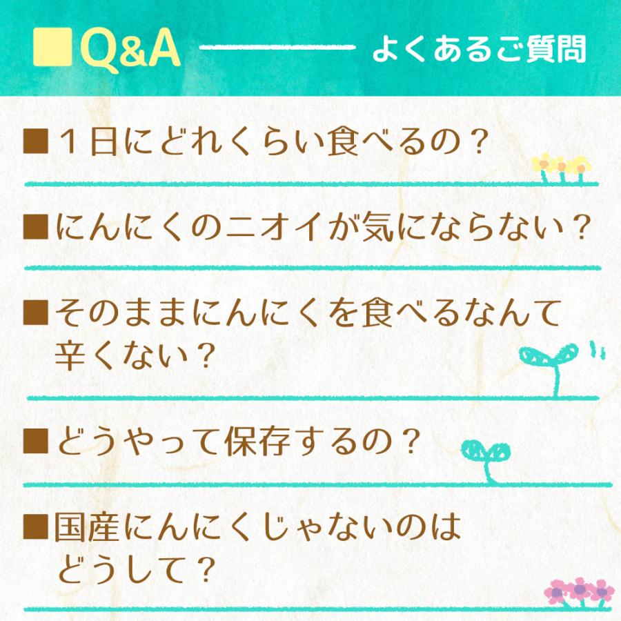 機能性表示食品 2袋 商品 黒にんにく オーガニック 有機 日常生活で生じる一過性の身体的疲労を軽減 約1ヶ月分 メール便 | ちこり村 | 13