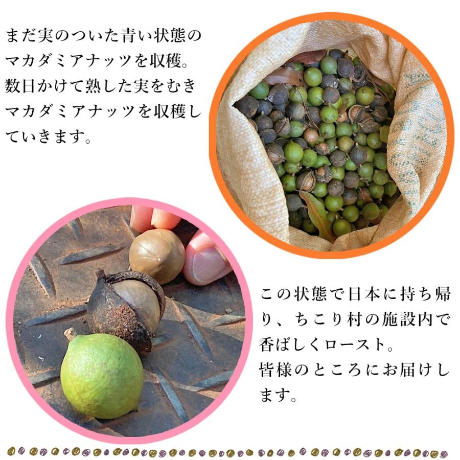 ちこり村 マカダミアナッツ 殻付き 無塩 ロースト 600g お試し商品