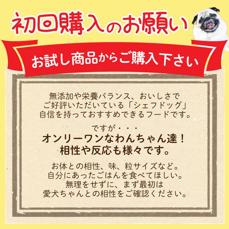 ドッグフード お試し 無添加 国産 グルテンフリー 犬 子犬 成犬 シニア 餌 シェフドッグ 50g 初回限定｜chien-chien｜18