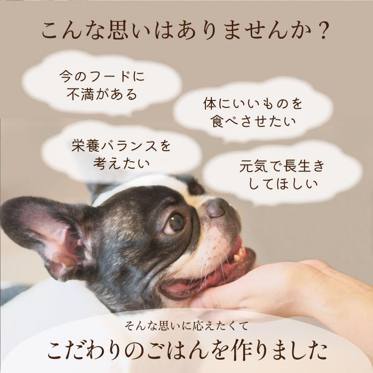 ドッグフード アレルギー 国産 日本産 無添加 グルテンフリー 総合栄養食 パピー 成犬 シニア 犬 餌 シェフドッグ 2.1kg×3袋｜chien-chien｜05