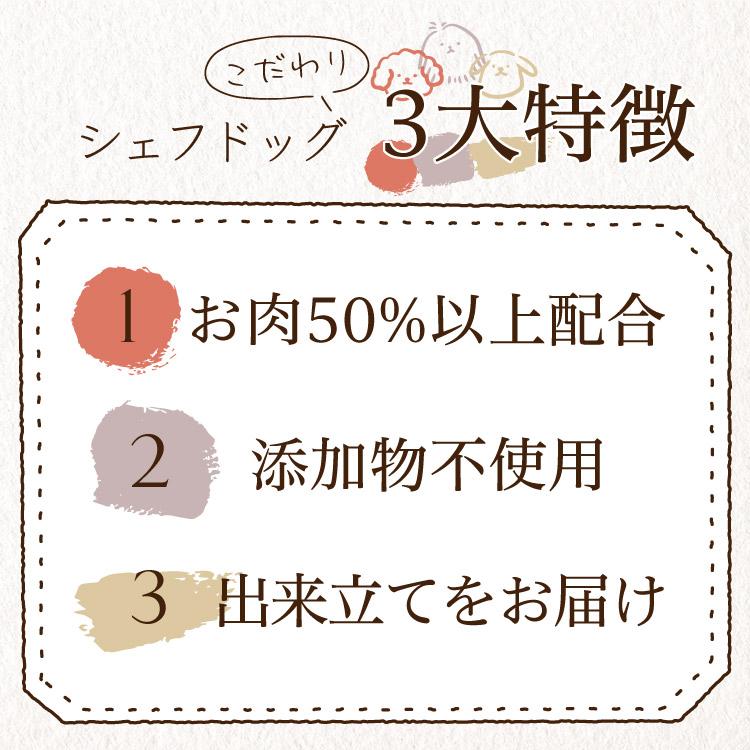 ドッグフード お試し 無添加 国産 グルテンフリー 犬 子犬 成犬 シニア 餌 シェフドッグ 250g 初回限定｜chien-chien｜18