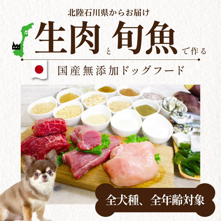 シェフドッグ パピー 2.1kg ドッグフード アレルギー 国産 日本産 無添加 グルテンフリー 総合栄養食 子犬用 妊娠 母犬 犬 餌｜chien-chien｜02