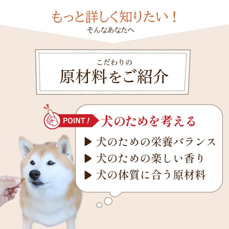 シェフドッグ 感謝祭 ドッグフード 無添加 国産 【2個以上のご購入で送料無料】｜chien-chien｜13