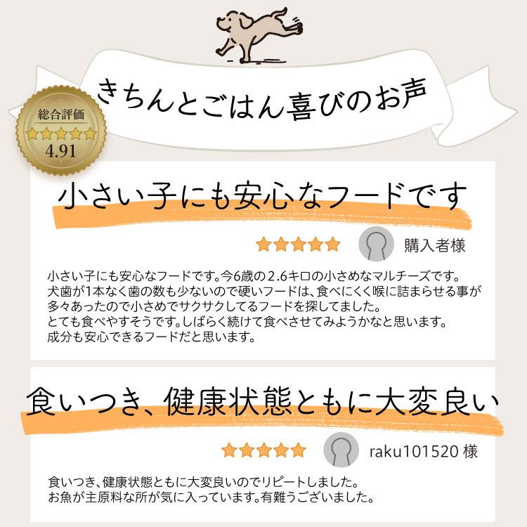 わんこのきちんとごはん 300g×7袋 組み合わせ自由 ドッグフード シニア アレルギー 国産 日本産 無添加 グルテンフリー ダイエット 極小粒 魚 豚｜chien-chien｜03