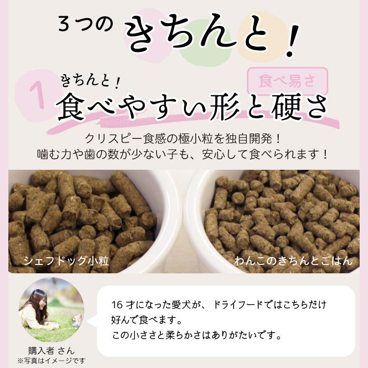 わんこのきちんとごはん ポーク 300g ドッグフード シニア アレルギー 国産 無添加 グルテンフリー 極小粒｜chien-chien｜12