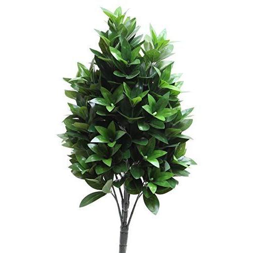 特注品 国産品質 お墓参り 長持ち しきみ シキビ 樒 造花 リアルな質感 2本入り 全長約65cm 樒 しきび ワイヤ枝で整形可 日本店舗 Moodles Uog Ac Rw