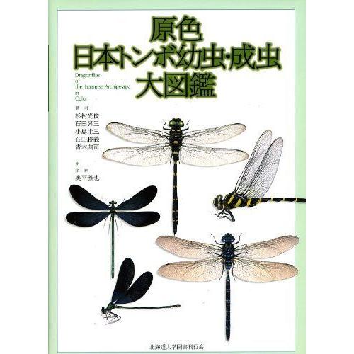 学習図鑑 学習図鑑全般 子ども原色日本トンボ幼虫 成虫大図鑑 チエゾー Com