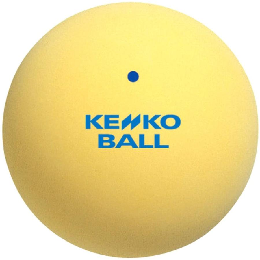 Markwort Kenko Soft Tennis Ball Starter Set (Yellow, 4-Piece)