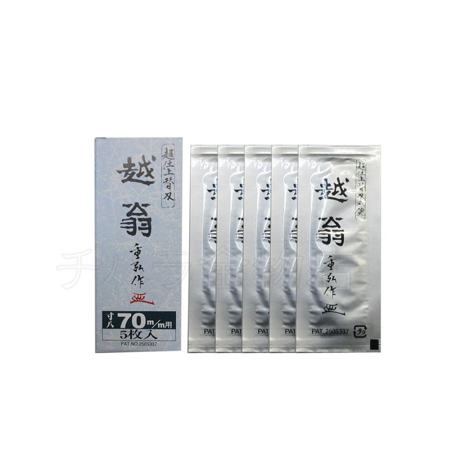 越翁（えつおう） 替刃式カンナ刃 5枚入 寸八 70mm : チハラ金物