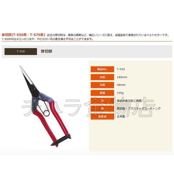 近正チカマサ 2点セット 芽切鋏と鋏ケース T-550/CS-T6 : チハラ金物店