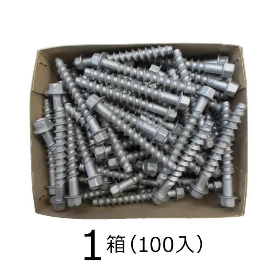 アスファルト用ネジアンカー 10×70L SUS410 1箱(100本入 アスファルト用ネジアンカー 10×70L SUS410 1箱(100本入