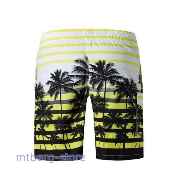 40,700円新品タグ付き【ダンヒル】インナーメッシュ付き 海パン 水着 M dxl-men53-01.jpg