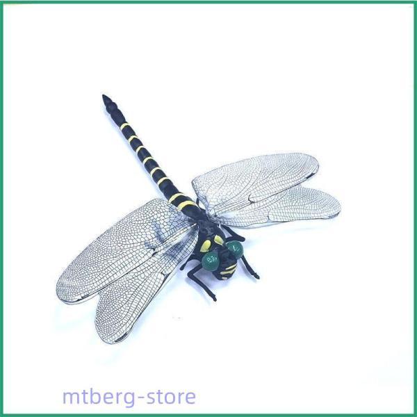 とんぼ様 Shinzone（シンゾーン）】TOMBOY PANTS トムボーイパンツ