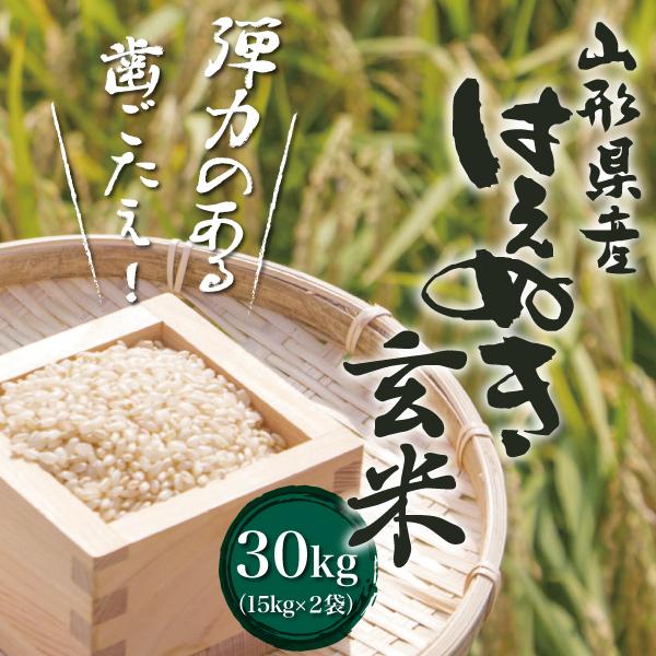令和7年産 はえぬき【玄米】 30kg （15kg×2袋） 山形県最上地域産 《送料無料》