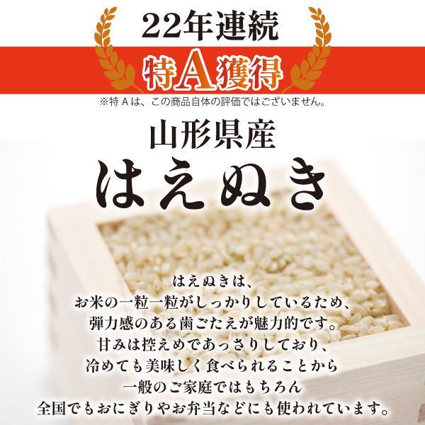 令和5年産 はえぬき【玄米】20kg （10kg×2袋）　山形県 最上地域産 《 産地直送 送料無料 》｜chiiki-bussan｜02