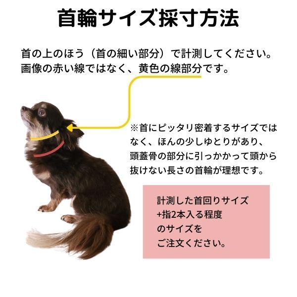 首輪 リード セット【 パラコード首輪 & 引き紐 / 15