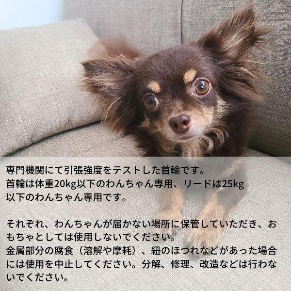 首輪 リード セット【 パラコード首輪 & 引き紐 / 8．シルバー  /キャメル革】 犬 散歩用 パラコード｜chiipoochi｜09