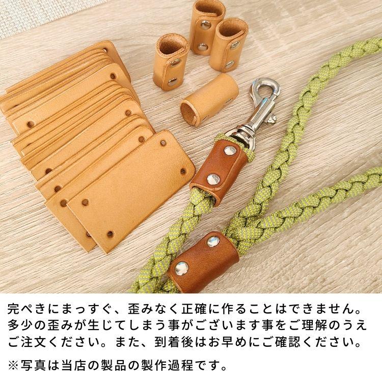 散歩 リード 単品【 パラコードリード 引き紐 / 11．ブラック