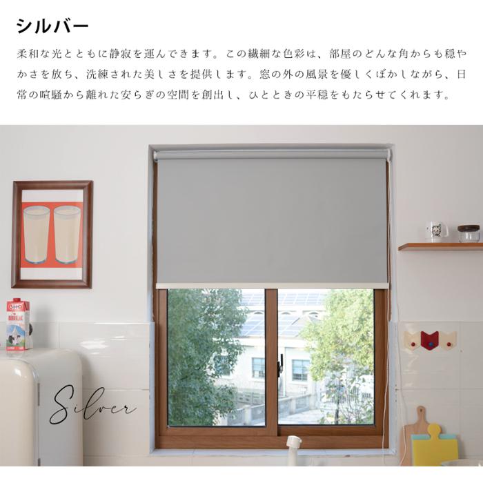 防音遮音 目隠しスクリーン 調光ロールスクリーン 遮光1級 防音効果で静かな空間に ロールスクリーン ロールカーテン 防音 遮光1級 遮熱 保温 防寒対策 既製品 3カラー 11サイズ 子供部屋 浴室 キッチン 目隠し 小さい店 - 通販 - Yahoo ショッピング