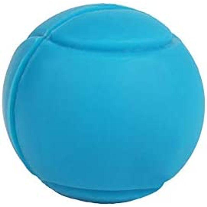 Andux スカッシュ テニスラケット用 ボール型 振動止め 振動吸収 6個セット BZQ-02 (ブルー) ボール