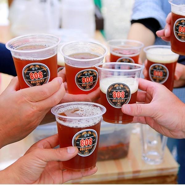 クラフトビール　小山市産大麦の食品ロス削減から生まれたインディアペールエール　808IPAビール6本 お取り寄せ お土産 ギフト プレゼント 特産品 おすすめ |  | 06
