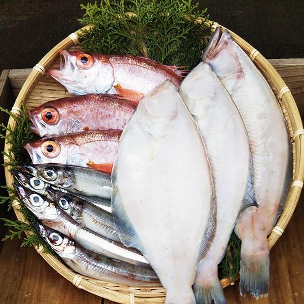 型抜き メーカー在庫あり】 9182 フューリング FEULING リバースアメリカン