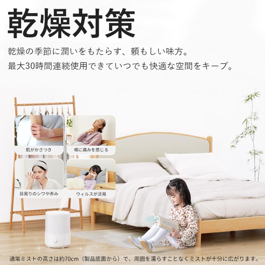 加湿器 超音波式 大容量 3L 超音波加湿器 卓上 除菌 次亜塩素酸